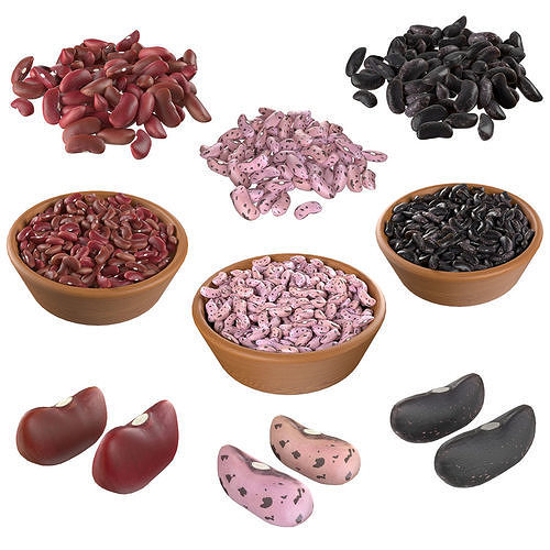 Kidney Bean Collection   Low-poly 3D model