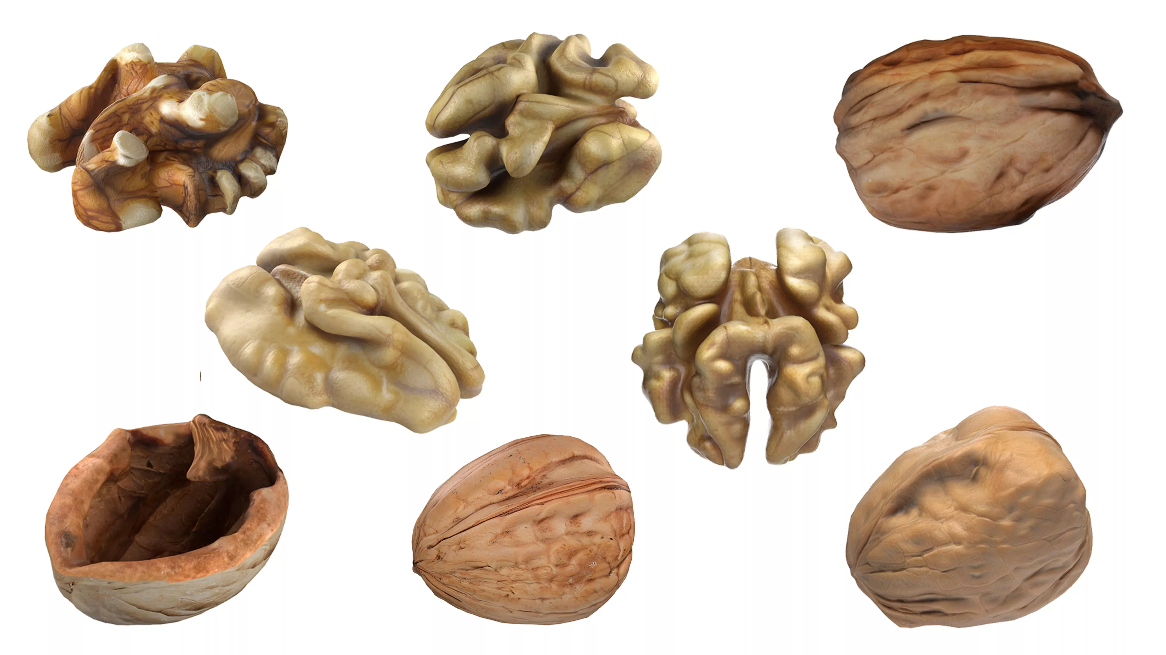 Walnut collection Low-poly 3D model