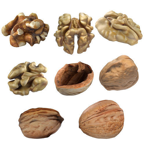 Walnut collection Low-poly 3D model