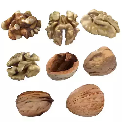 Walnut collection