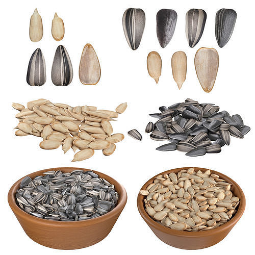 Sunflower seed collection  Low-poly 3D model