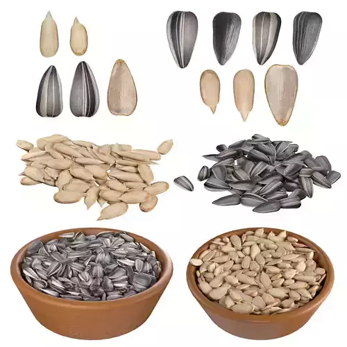 Sunflower seed collection  Low-poly 3D model