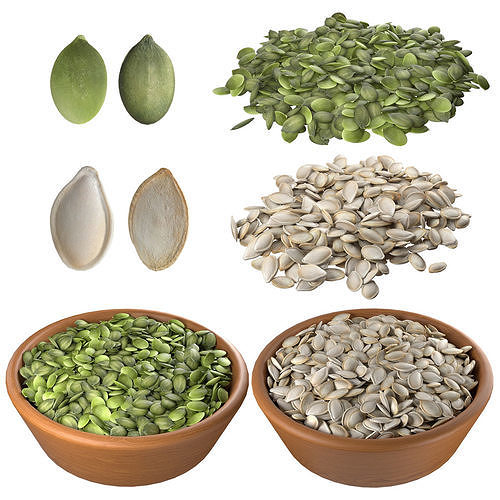 Pumpkin seed collection  Low-poly 3D model