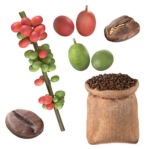 Coffee Bean set  Low-poly 3D model