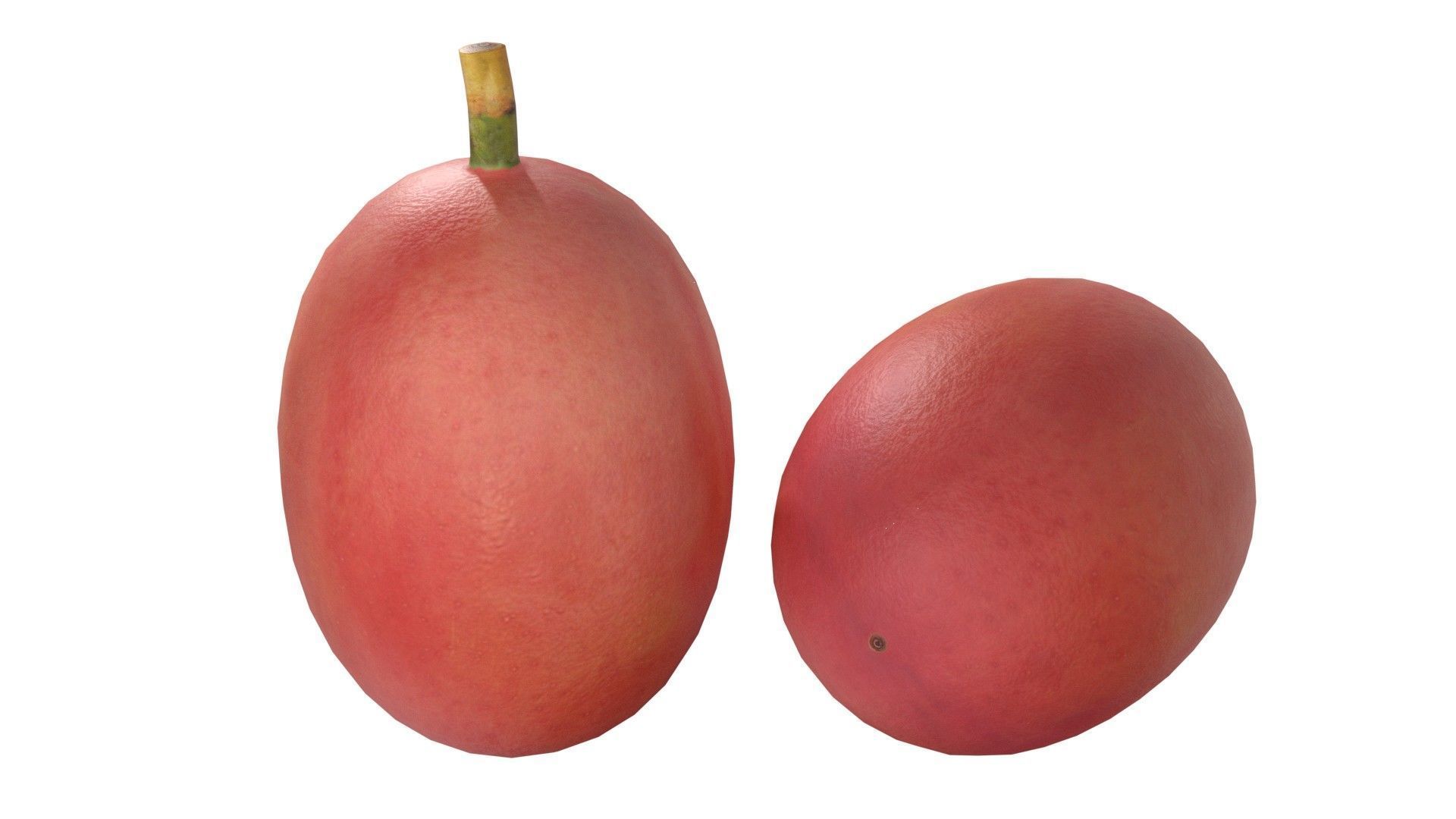 Coffee Bean set  Low-poly 3D model_5