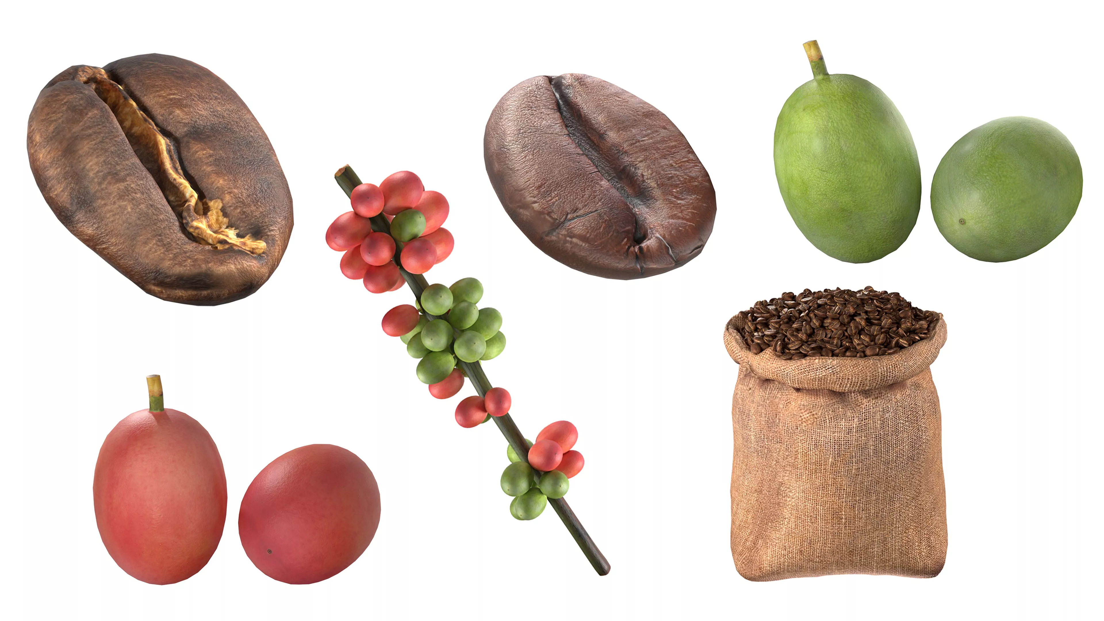 Coffee Bean set Low-poly 3D model