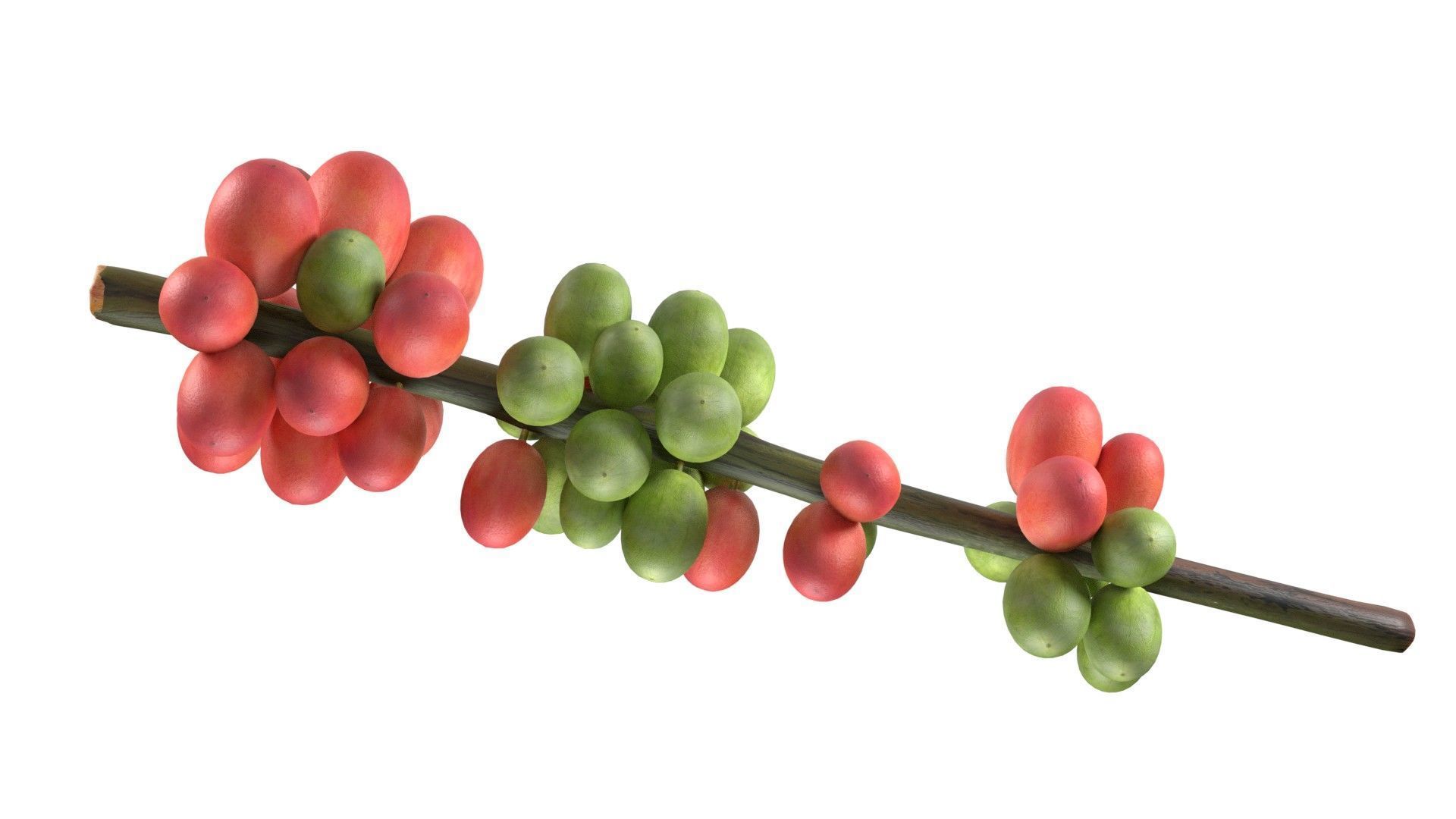 Coffee Bean set  Low-poly 3D model_3