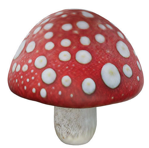 Amanita Mushroom Low-poly 3D model