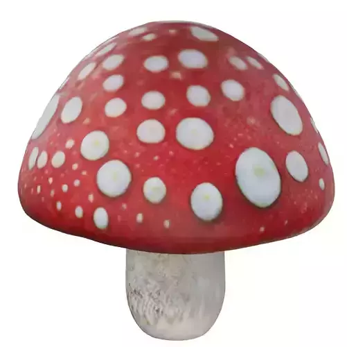 Amanita Mushroom
