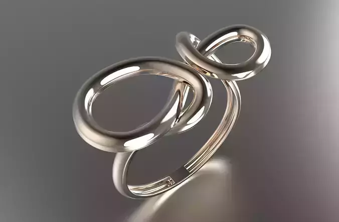 jewelry ring 309