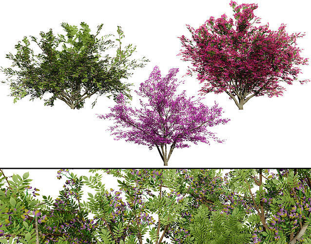 Vibrant Floral Tree Collection Low-poly 3D model