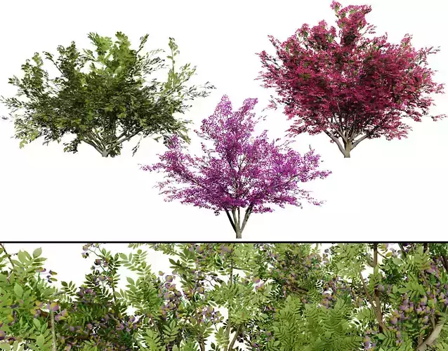 Vibrant Floral Tree Collection Low-poly 3D model