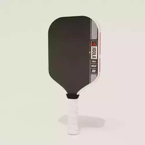 JOOLA Ben Johns Perseus Pro IV