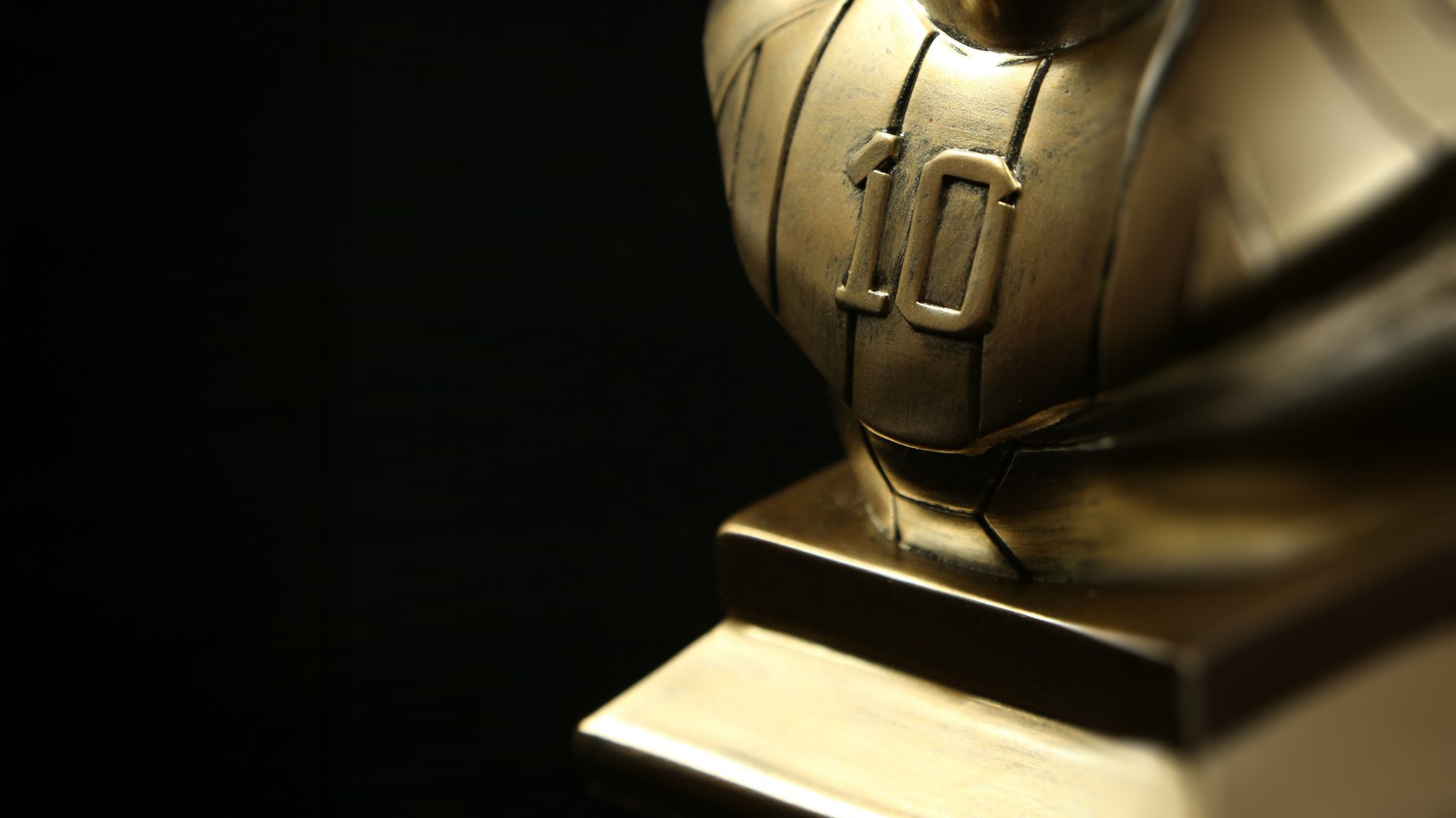 Lionel Messi Stand Ball Collectible Bust Free 3D print model_6