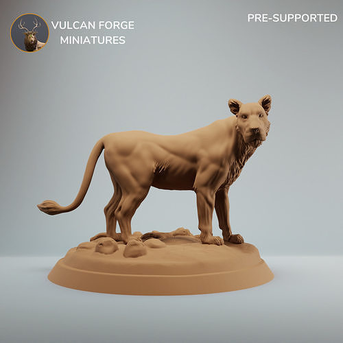 Lioness standing female lion model pre supported 3D print model