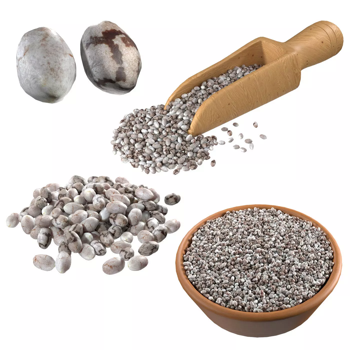 Chia seed collection Low-poly 3D model