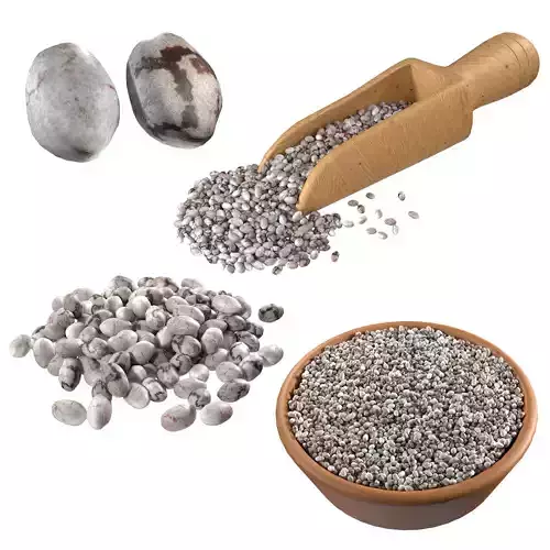 Chia seed collection Low-poly 3D model