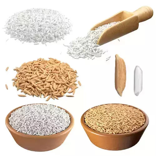 Rice grain collection   Low-poly 3D model