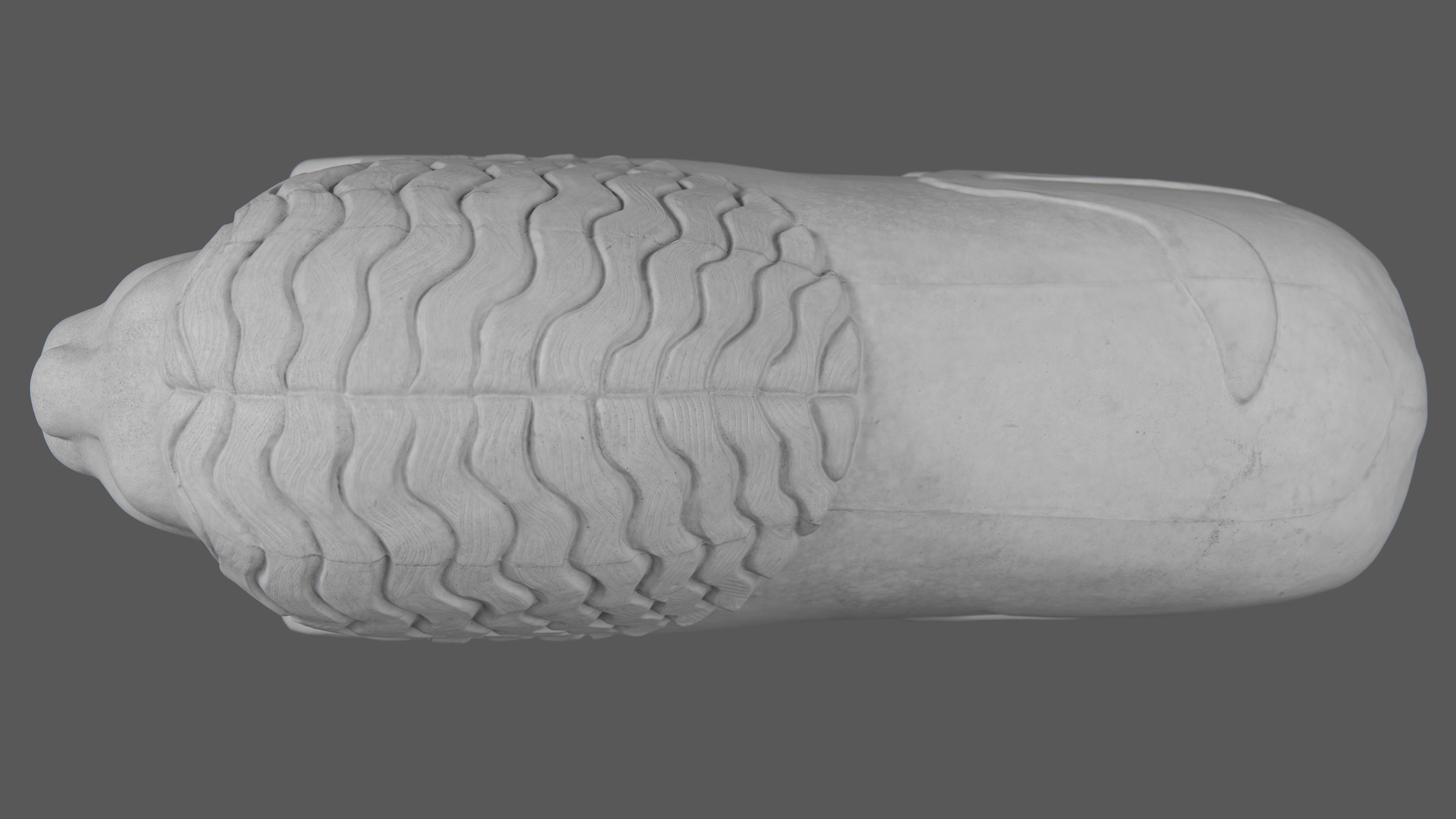 Stockholm Lion 3D model_11