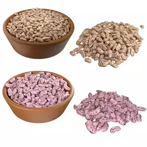 Roman and Borlotti Bean set 