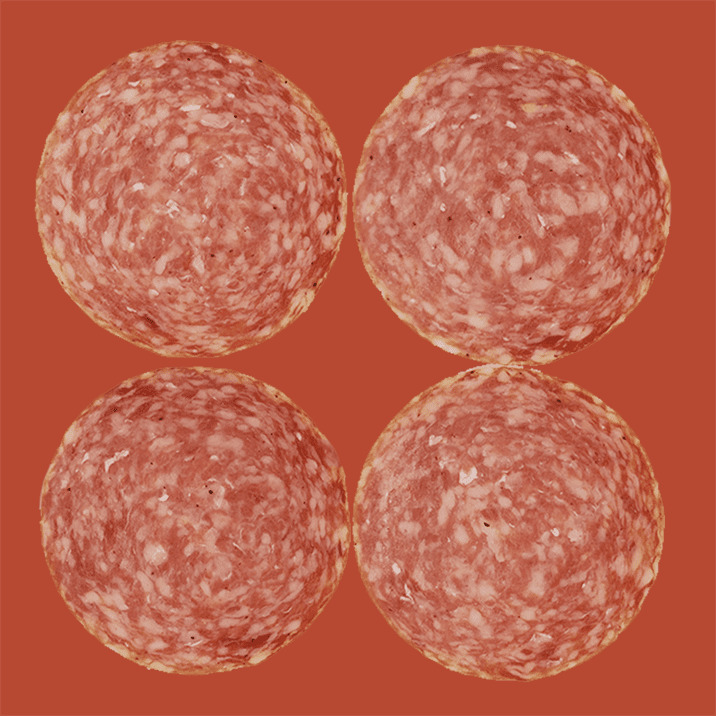 Sliced Salami 6 3D model_10