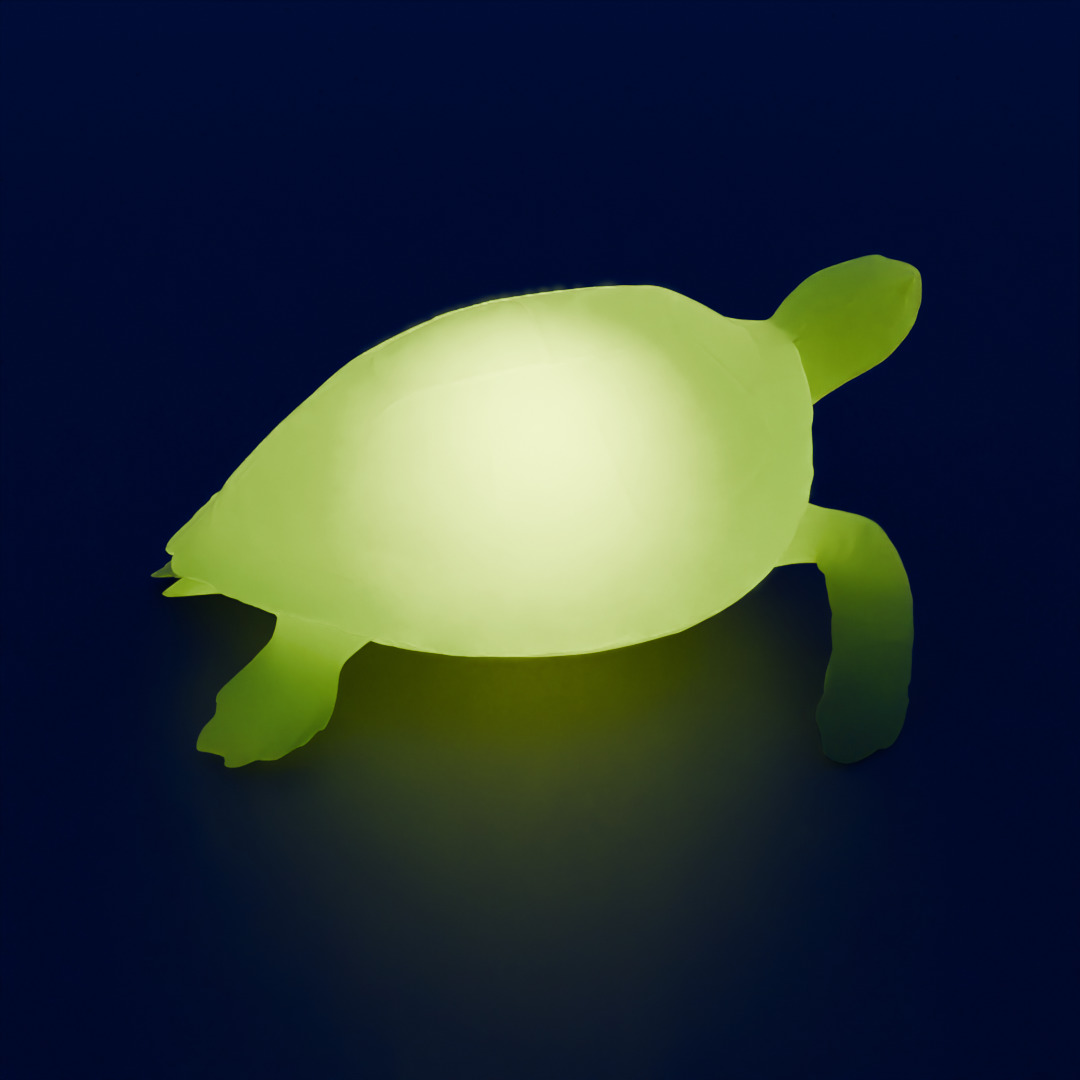 Indirect lighting of sea turtle 3D model_2