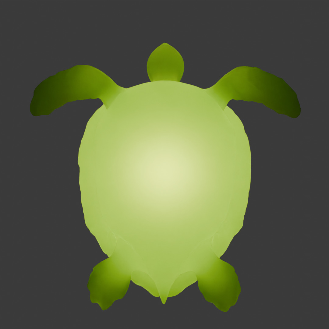 Indirect lighting of sea turtle 3D model_8