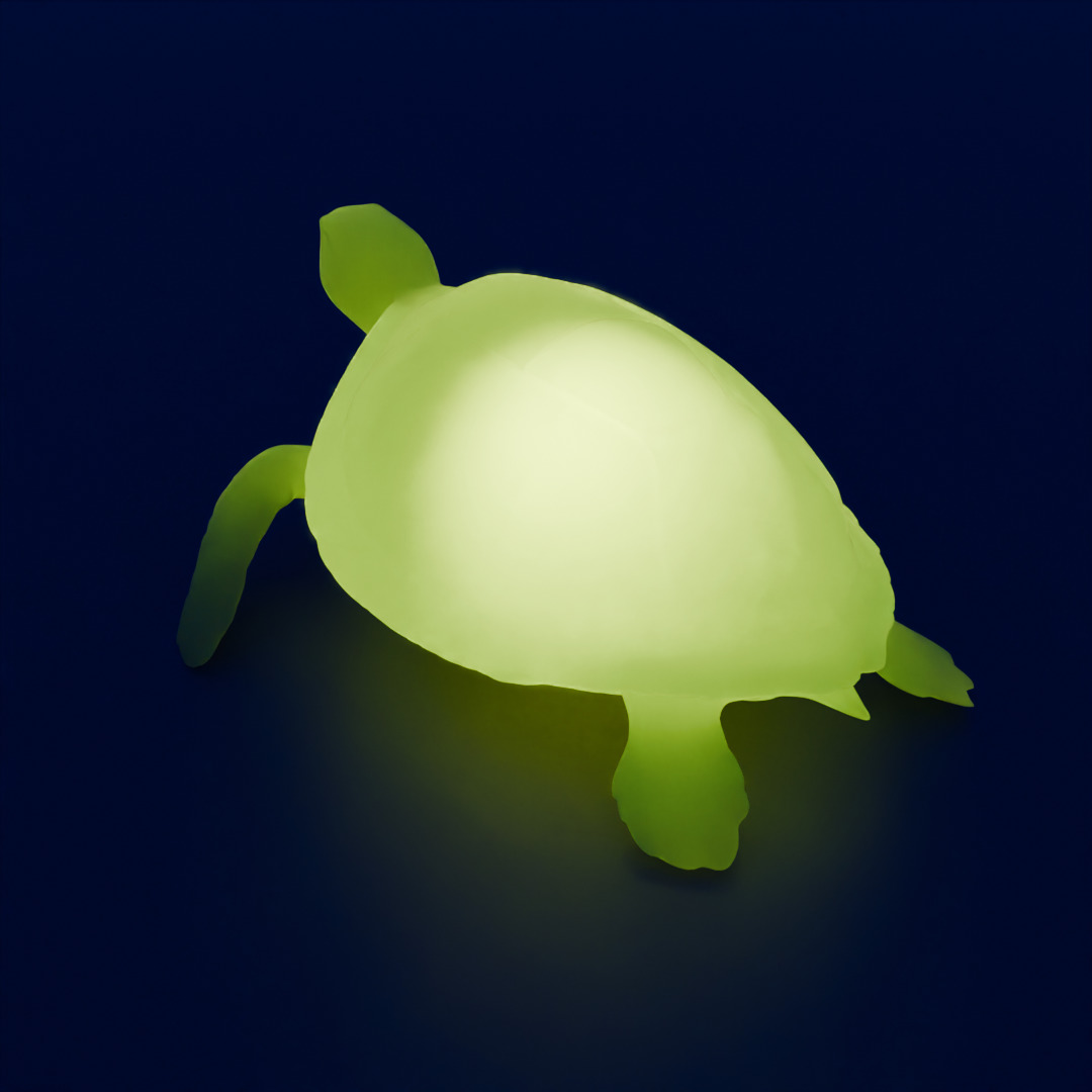 Indirect lighting of sea turtle 3D model_1