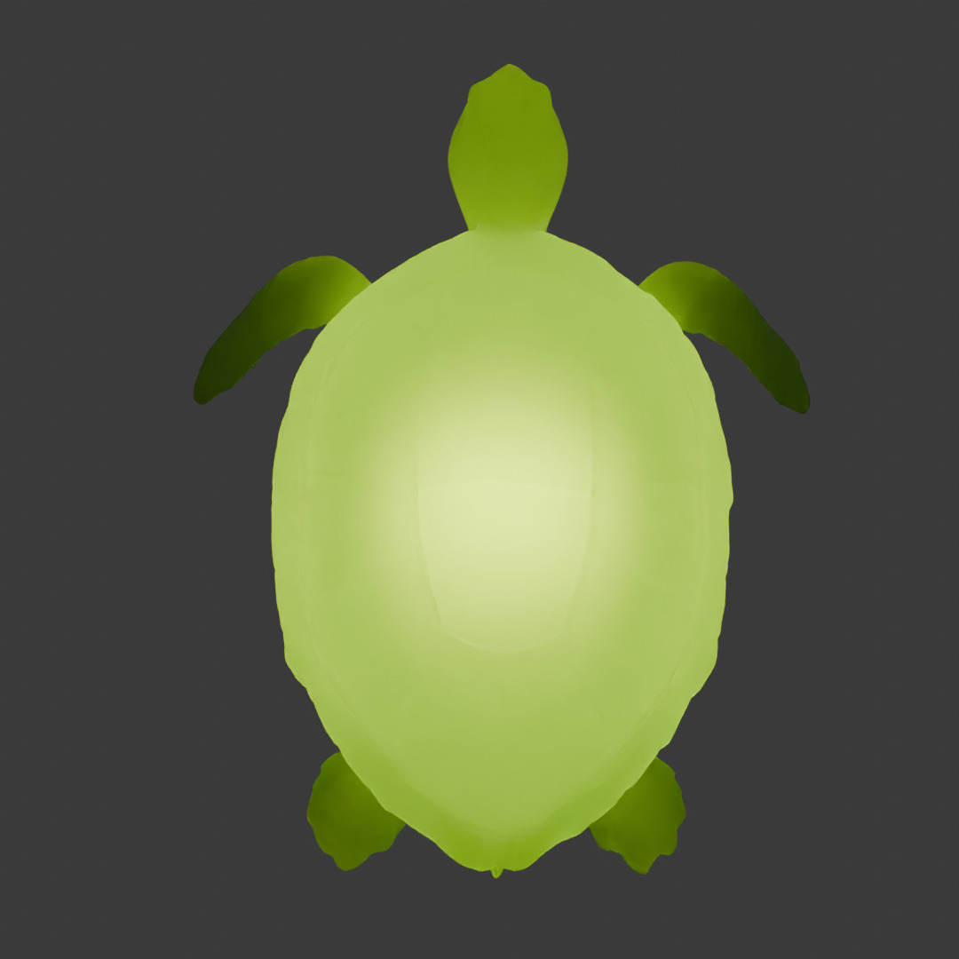 Indirect lighting of sea turtle 3D model_9