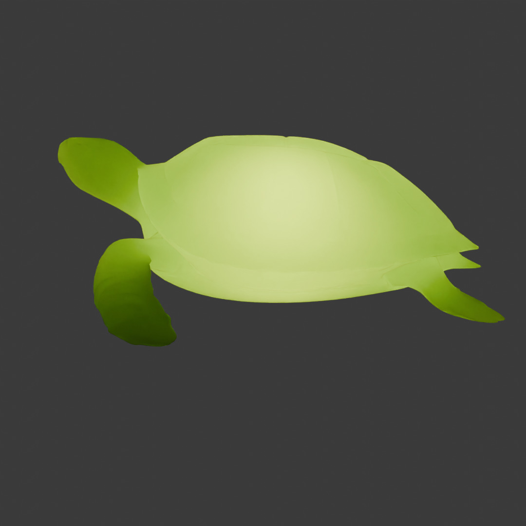 Indirect lighting of sea turtle 3D model_5