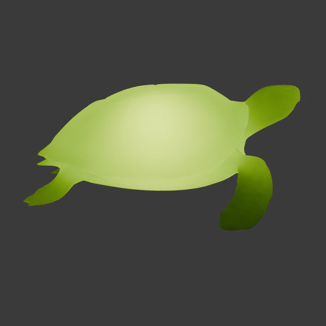 Indirect lighting of sea turtle 3D model_7