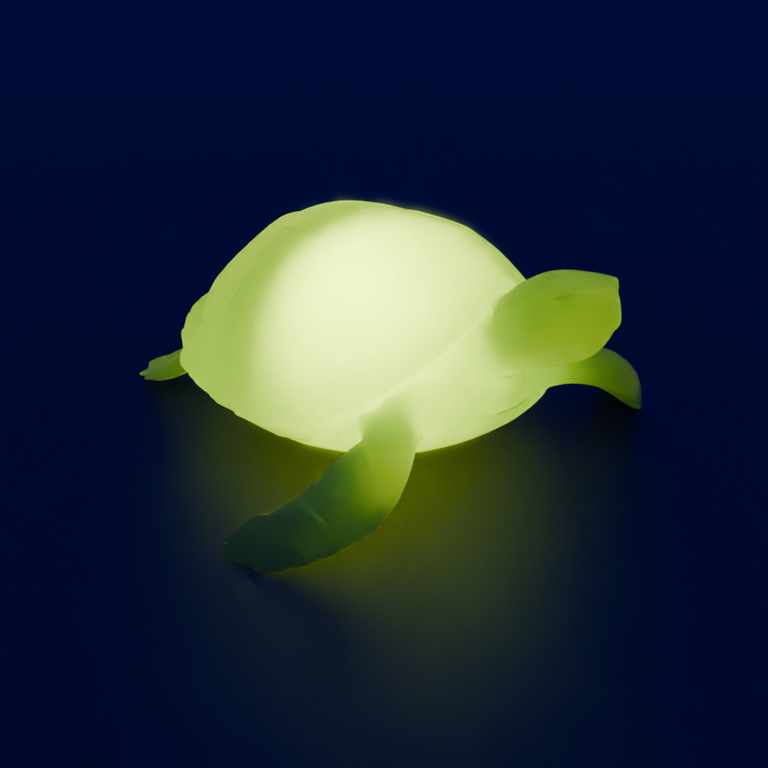 Indirect lighting of sea turtle 3D model_3
