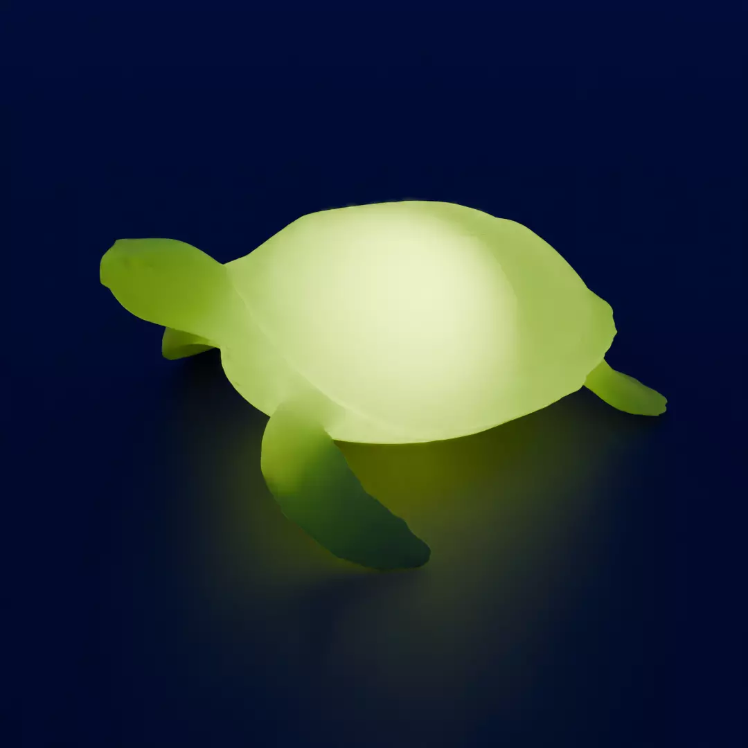 Indirect lighting of sea turtle 3D model_0