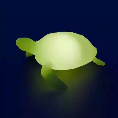 Indirect lighting of sea turtle