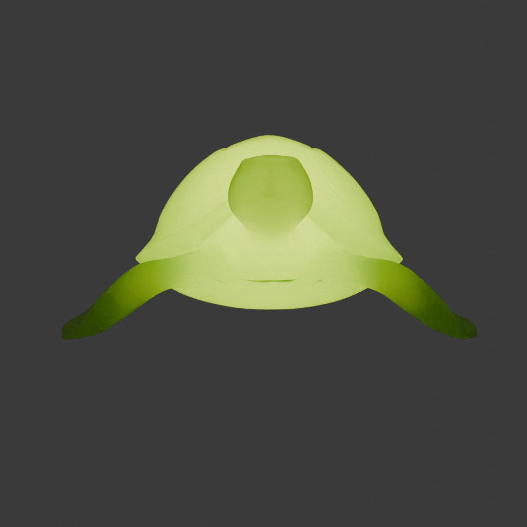 Indirect lighting of sea turtle 3D model_4