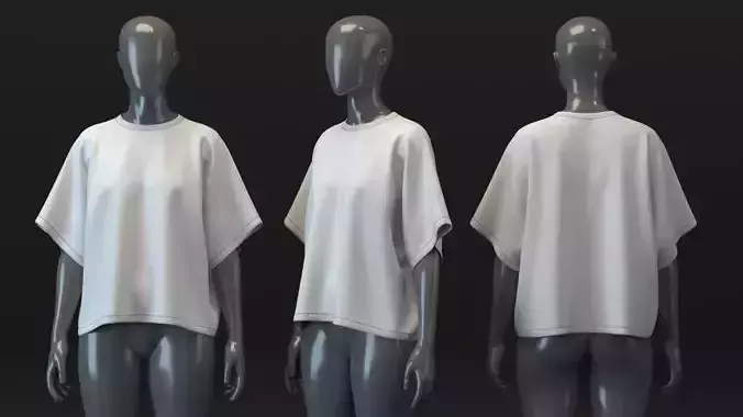 Cape T-shirt 3D model