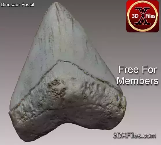 Megaladon Tooth - Fossil Replica - 3D Print File 3D print model