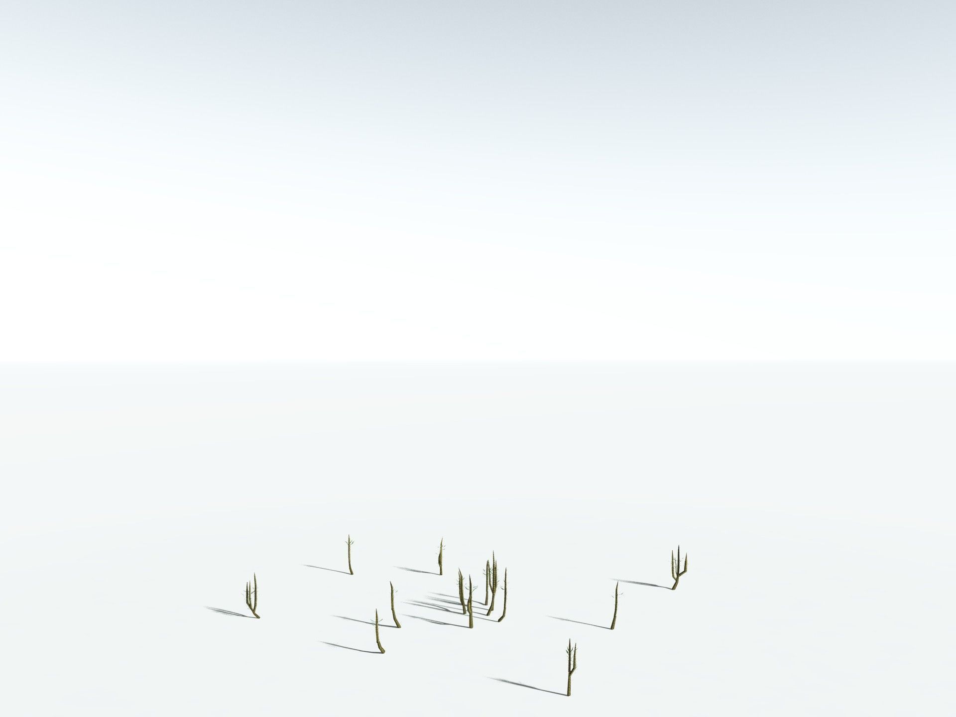 EVERYPlant Calamites Suckowii LowPoly Low-poly 3D model_26