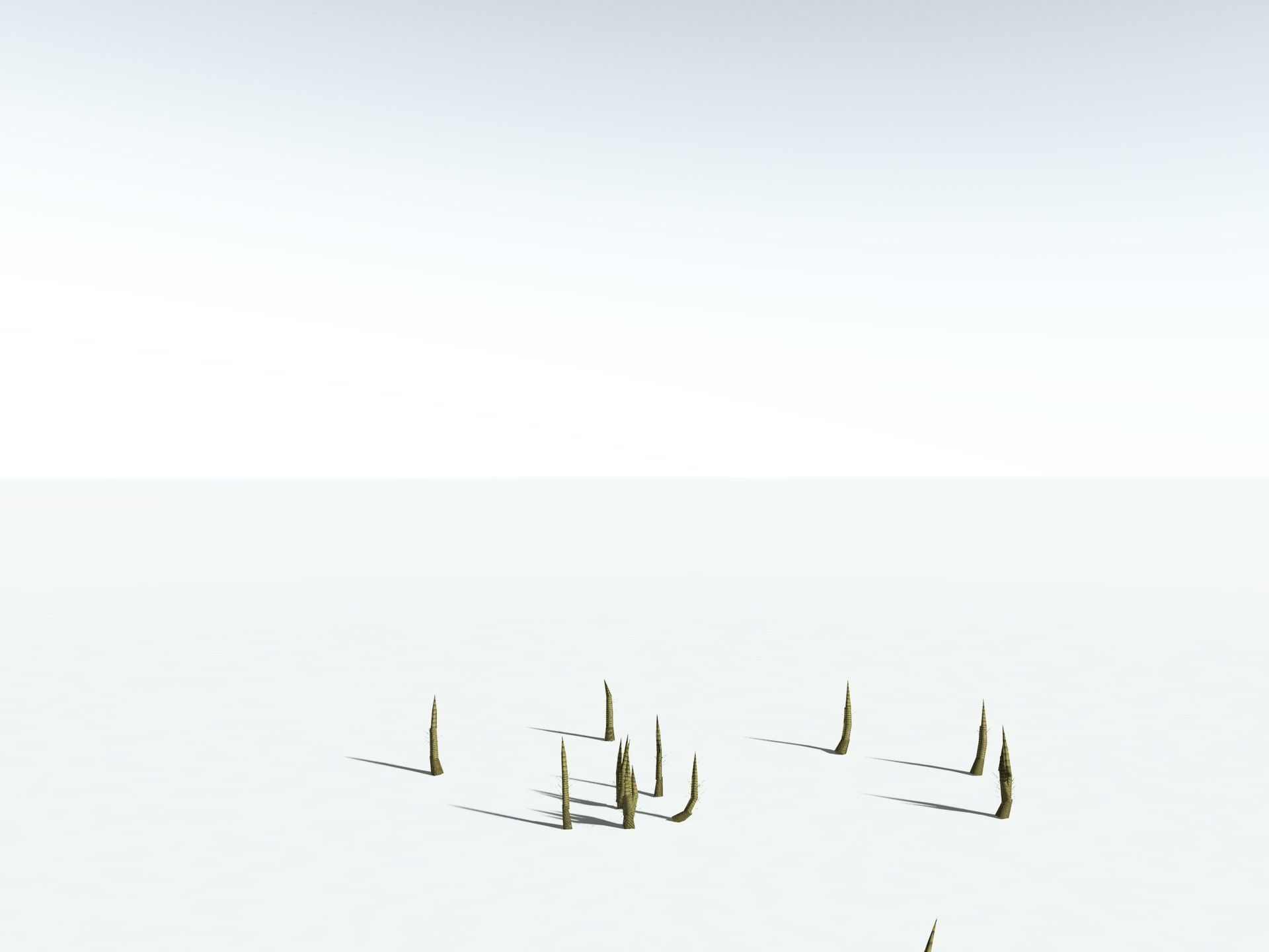 EVERYPlant Calamites Suckowii LowPoly Low-poly 3D model_29