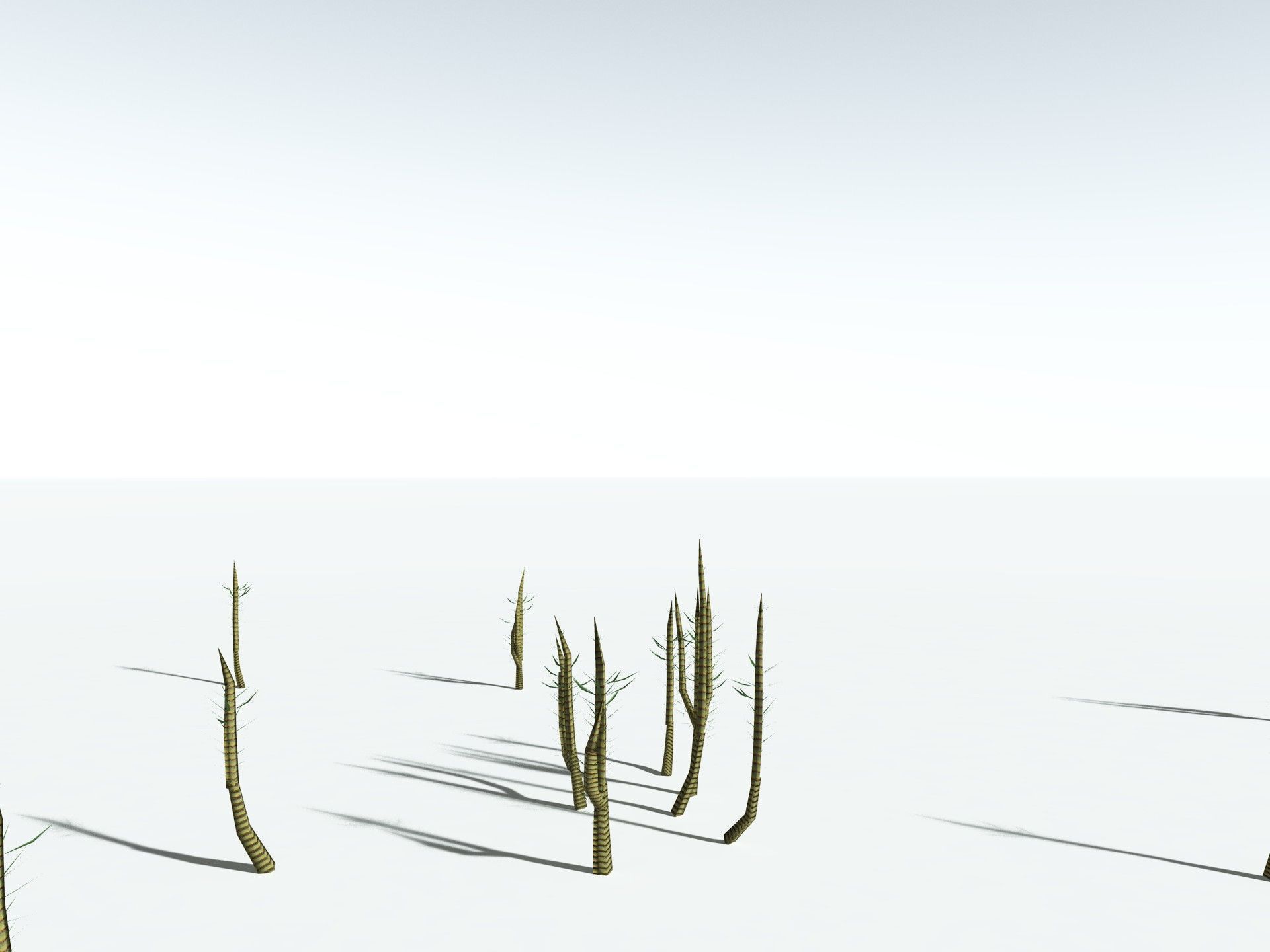 EVERYPlant Calamites Suckowii LowPoly Low-poly 3D model_27