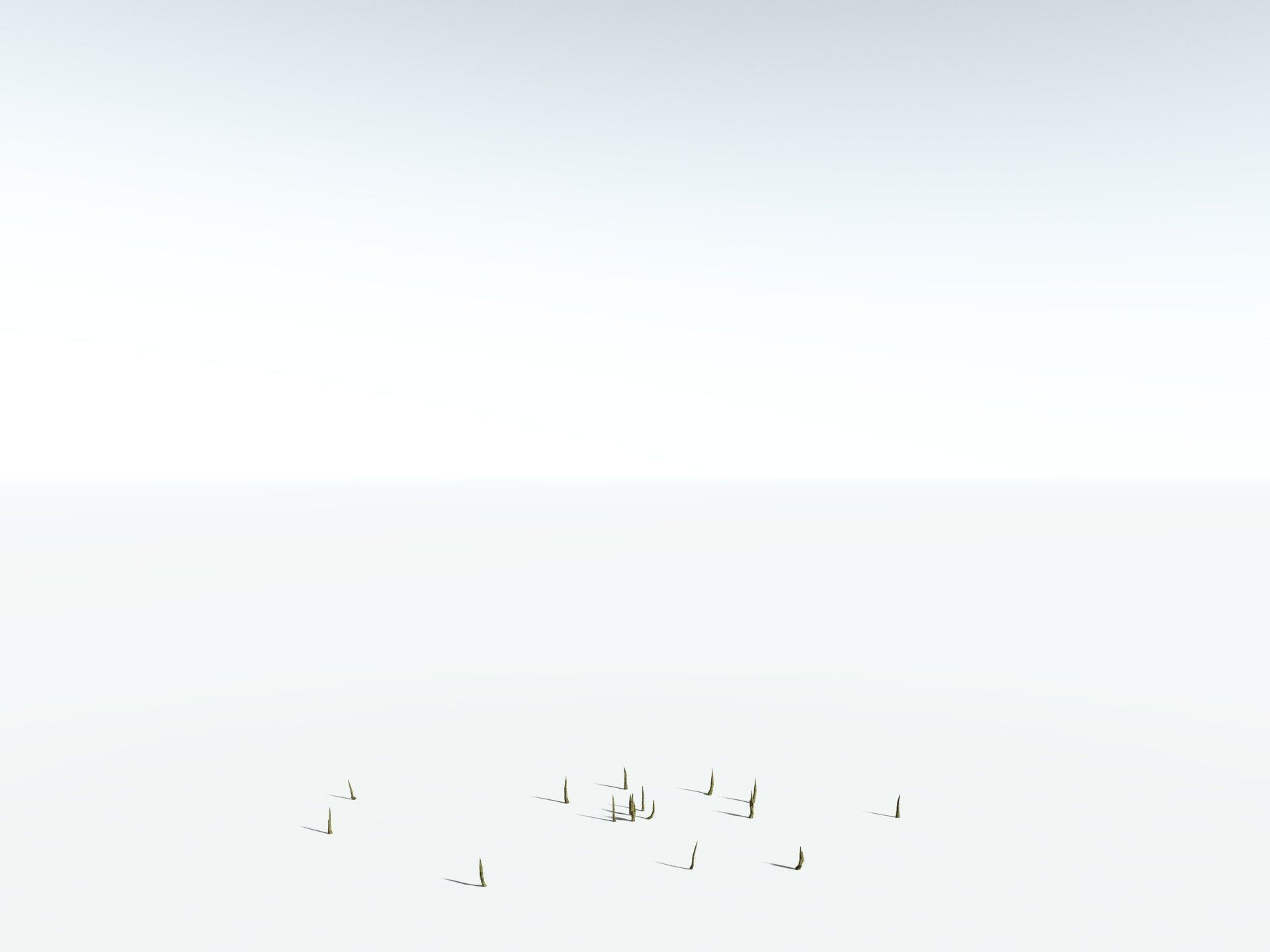 EVERYPlant Calamites Suckowii LowPoly Low-poly 3D model_28