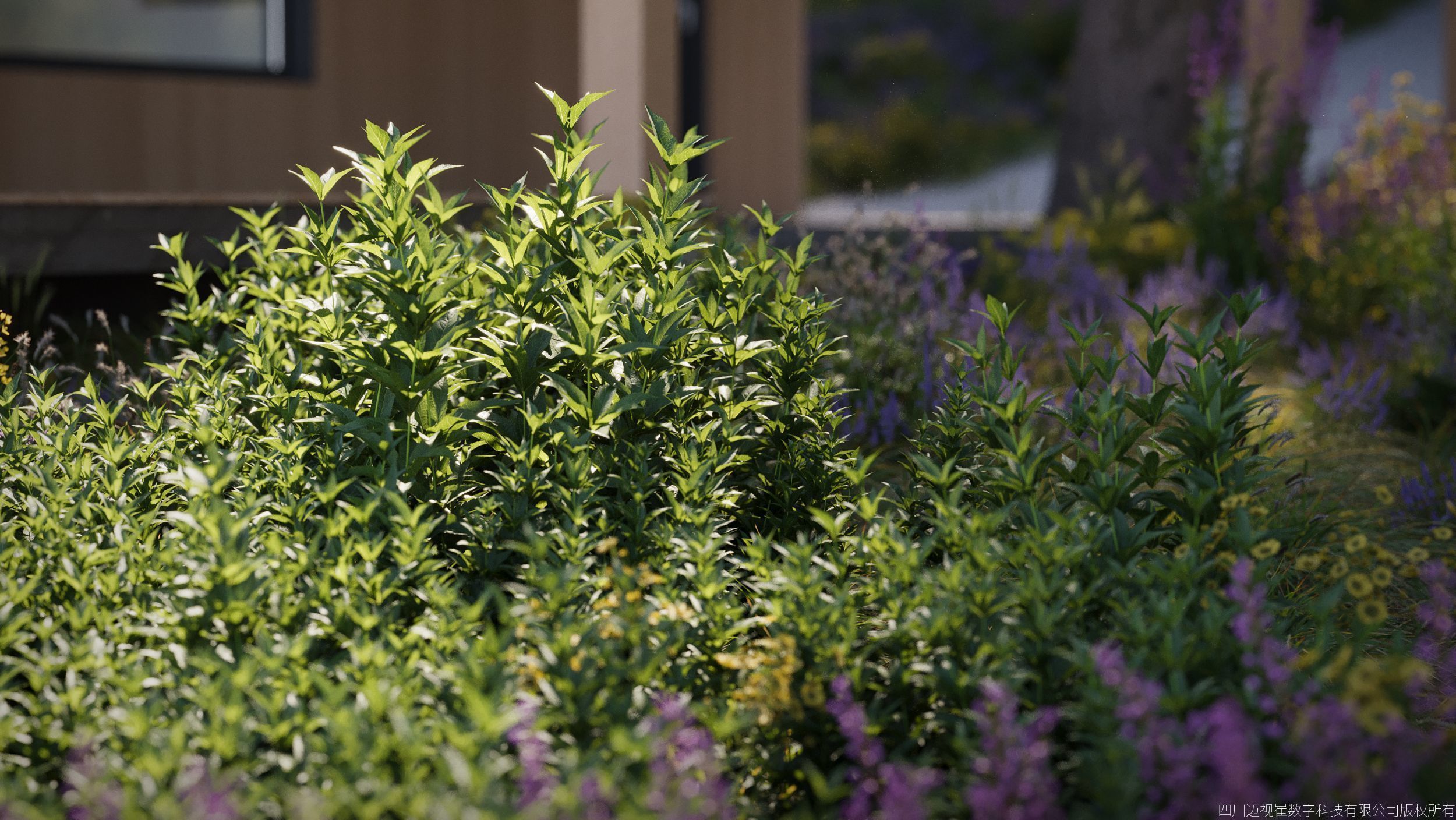 Maxtree Plant Models Vol 166 - Mesh 3D model_3