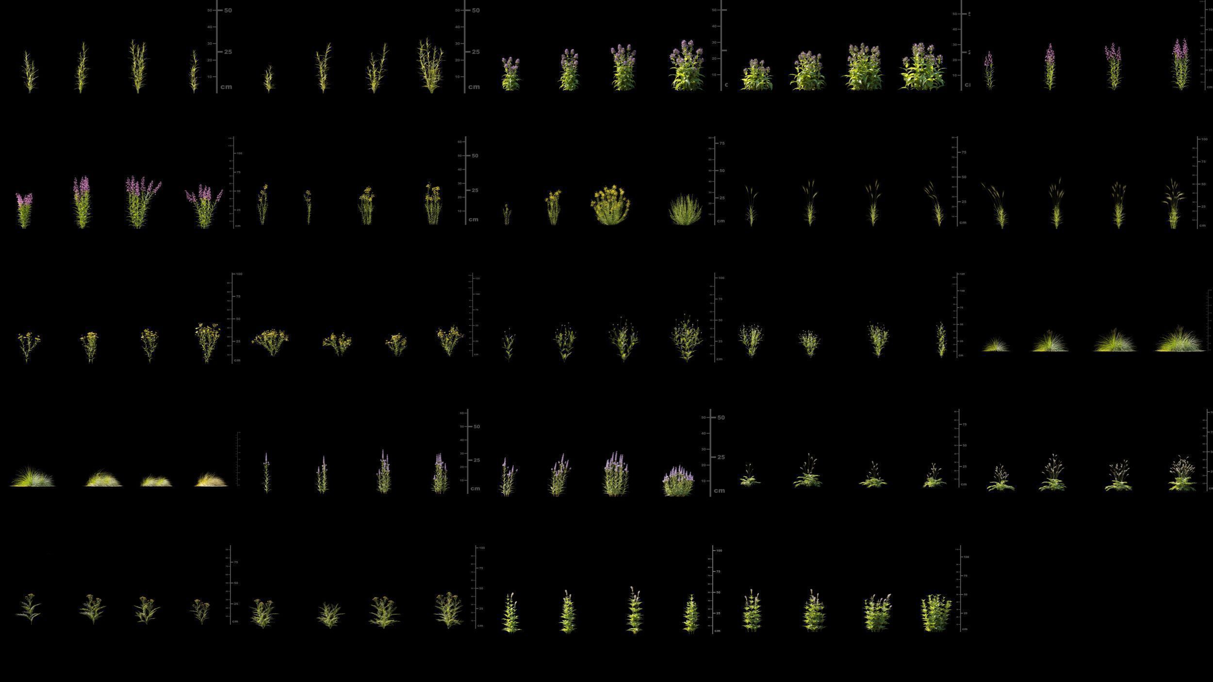 Maxtree Plant Models Vol 166 - Mesh 3D model_4