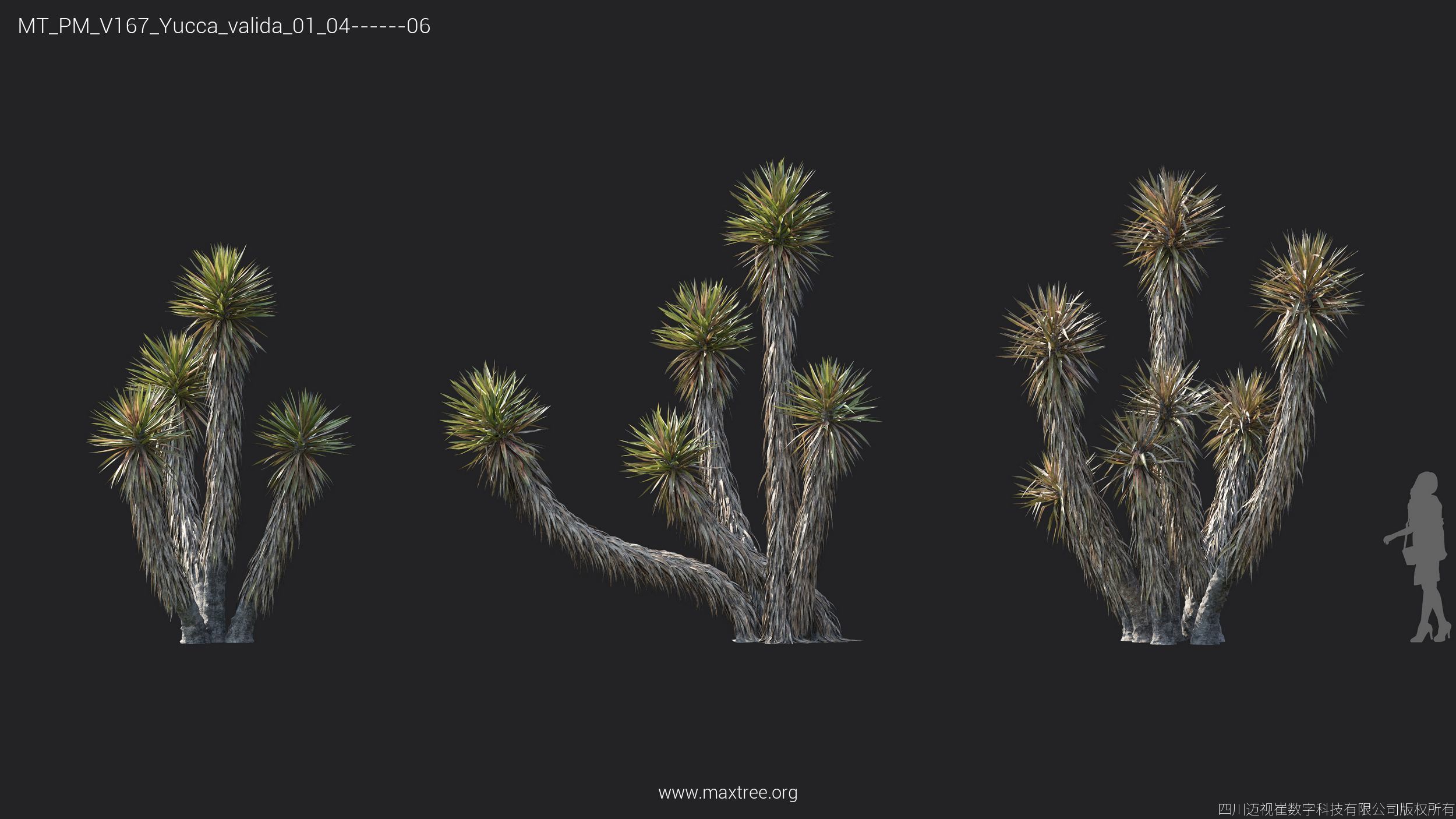 Maxtree Plant Models Vol 167 - Mesh 3D model_32