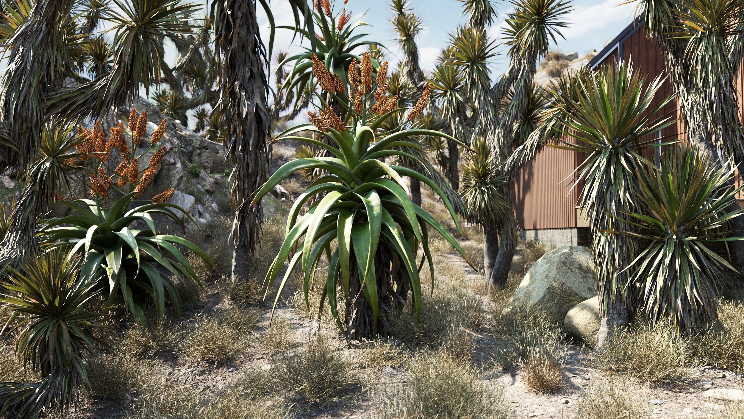 Maxtree Plant Models Vol 167 - Mesh 3D model_2