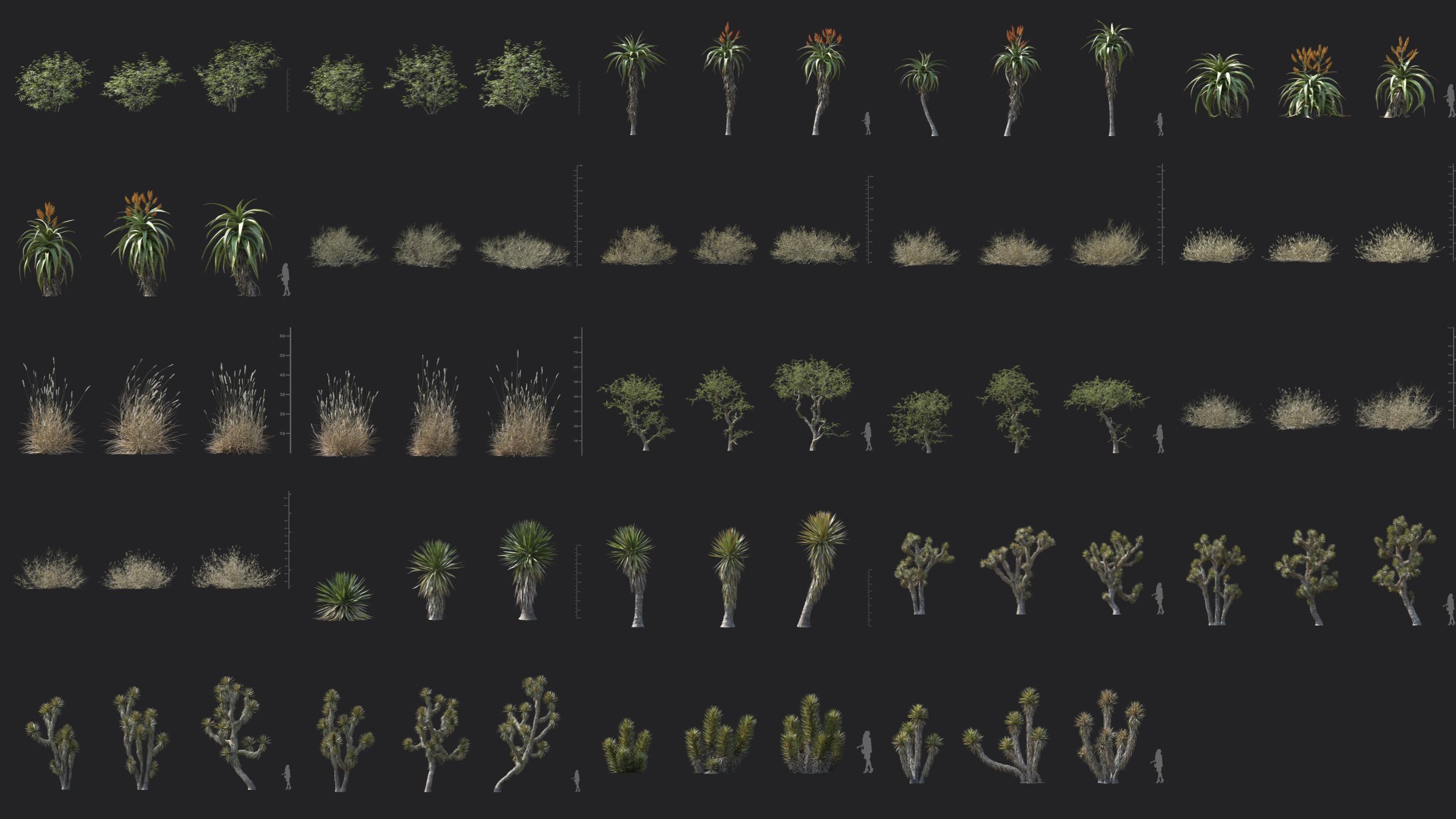 Maxtree Plant Models Vol 167 - Mesh 3D model_4