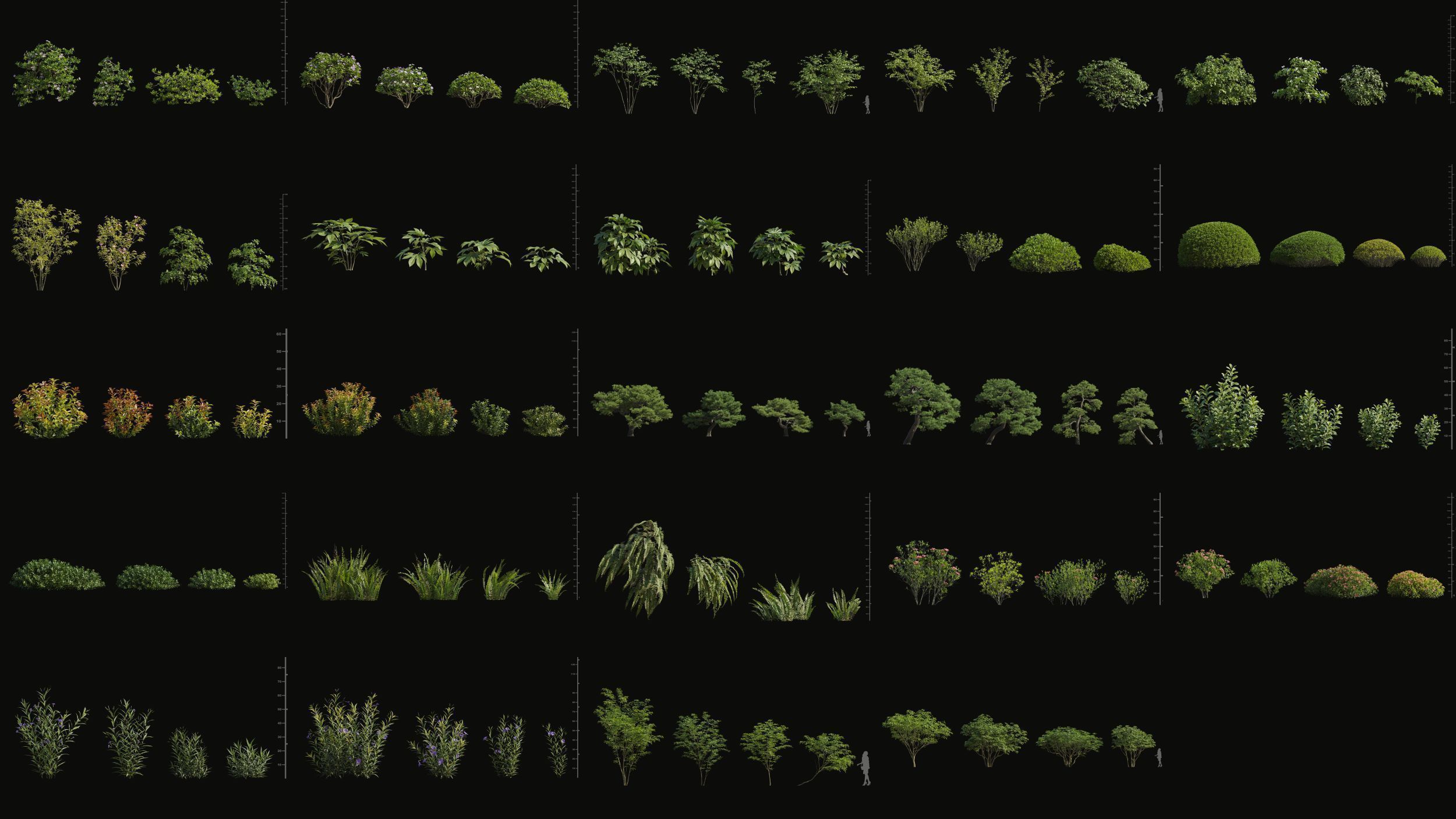 Maxtree Plant Models Vol 168 - Mesh 3D model_3