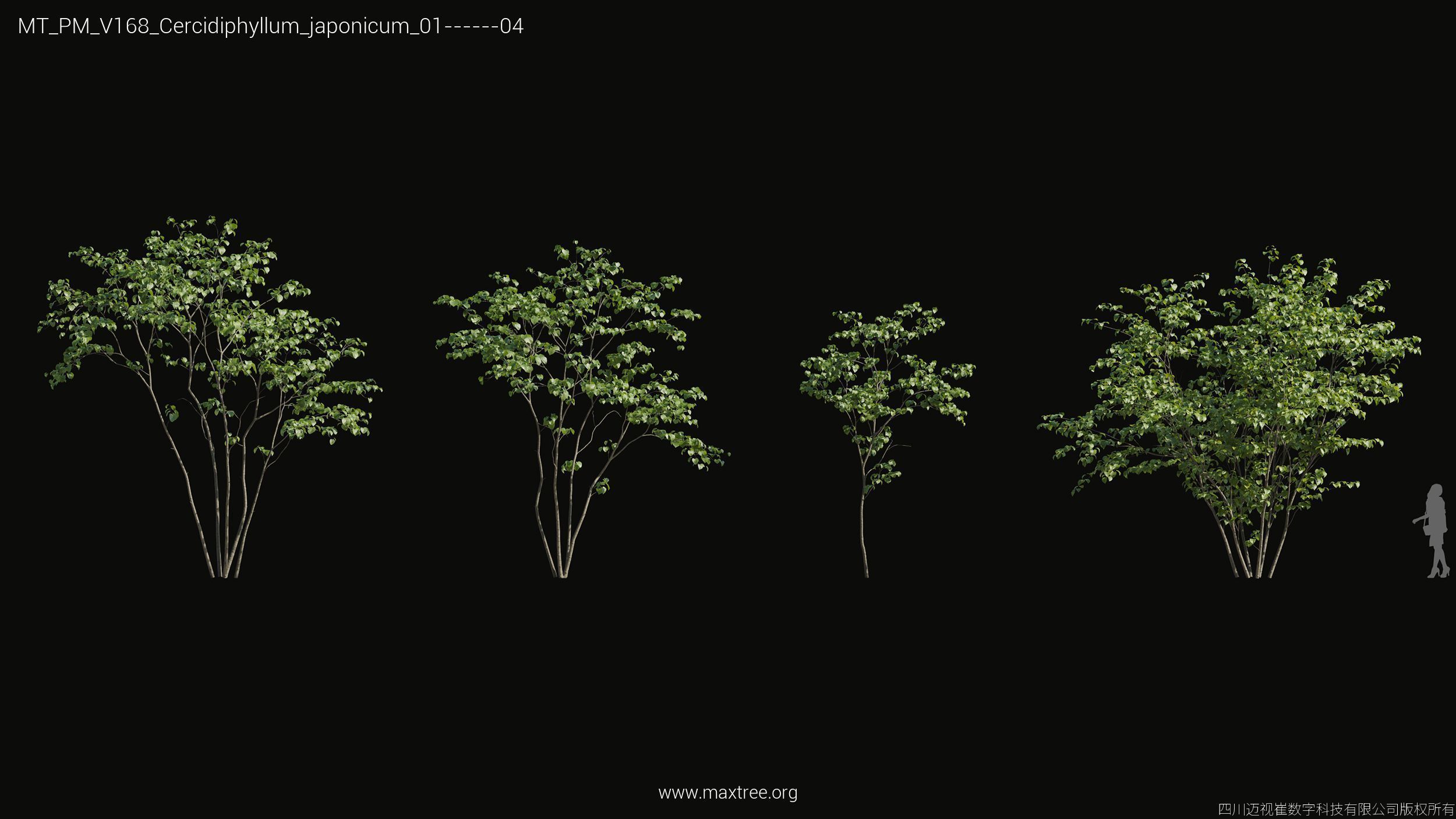 Maxtree Plant Models Vol 168 - Mesh 3D model_7