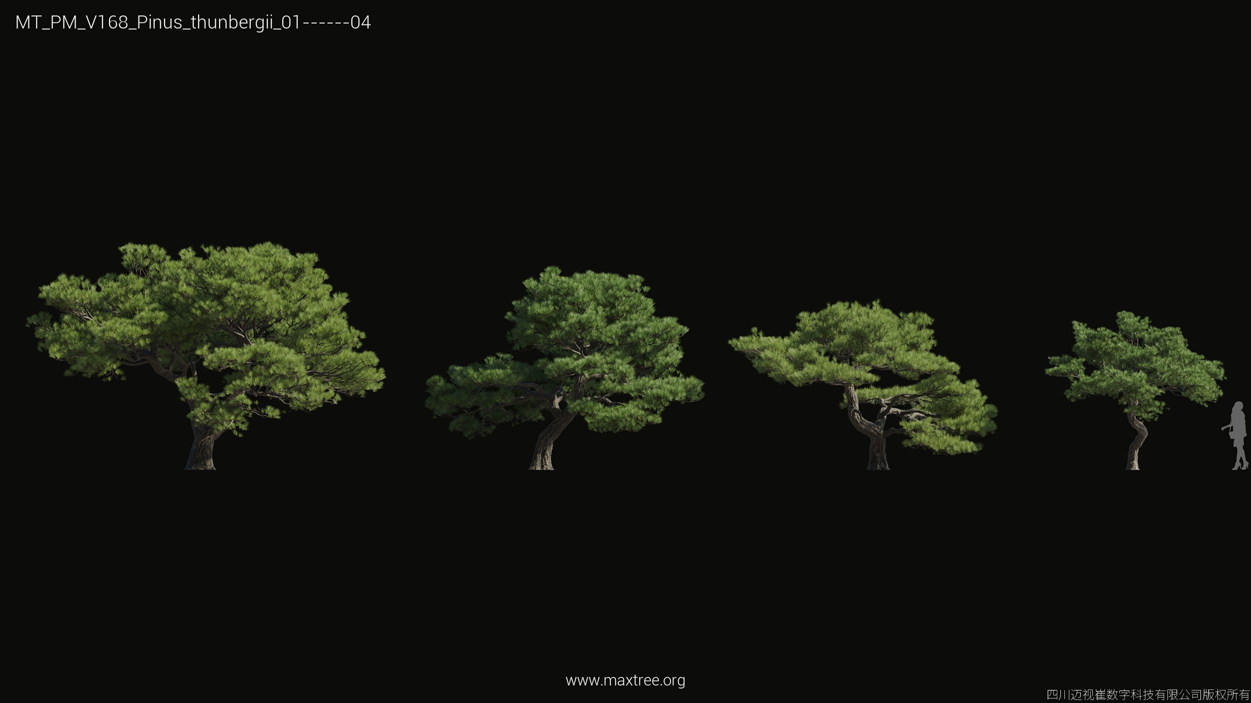 Maxtree Plant Models Vol 168 - Mesh 3D model_22