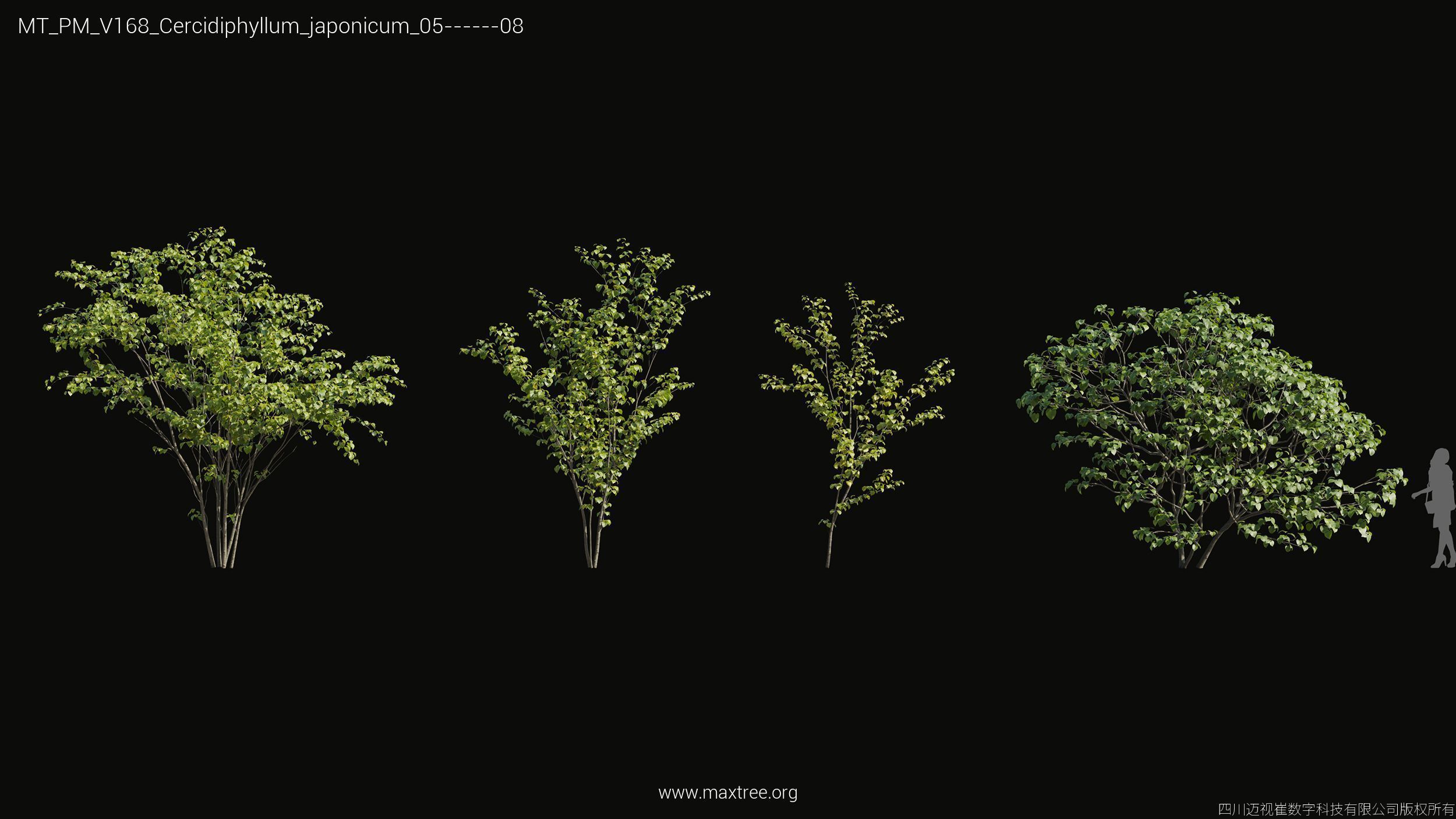 Maxtree Plant Models Vol 168 - Mesh 3D model_9